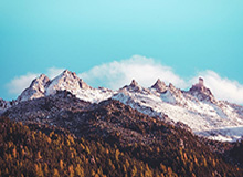 CBA俱乐部杯-塔克48分 广厦逆转吉林晋级四强